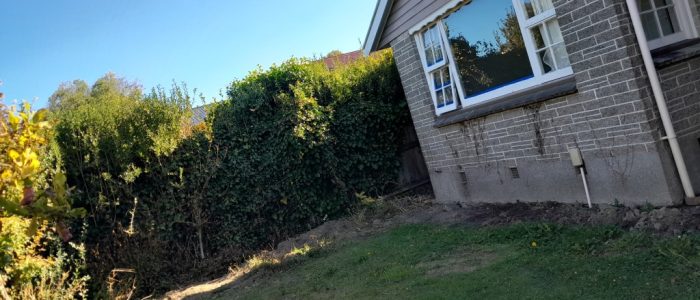 77 grahams Rd, Outside