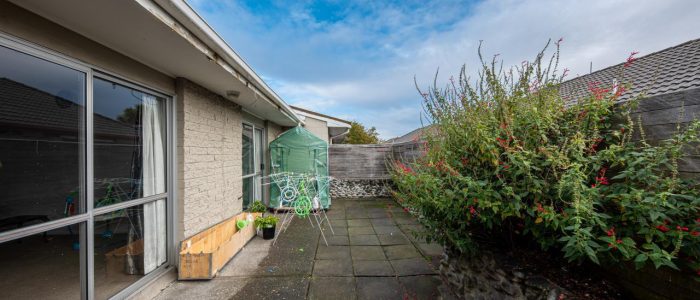 2/149 Clarence Street yard