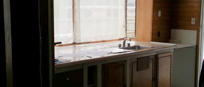 20161210_102239 (Medium)