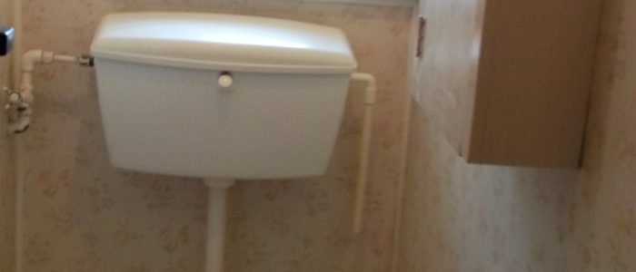 20161210_102355 (Medium)