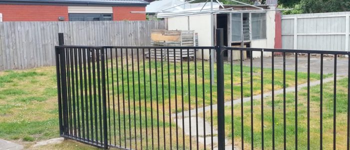 20161210_102441 (Medium)