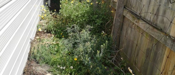 IMG_20201102_143109 (Large)