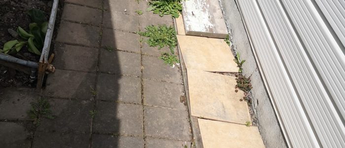 IMG_20201102_143112 (Large)