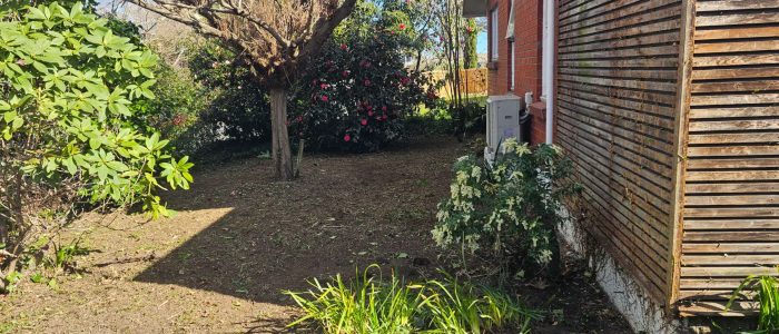 mmexport1756849484289