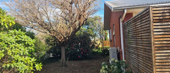 mmexport1756849494172