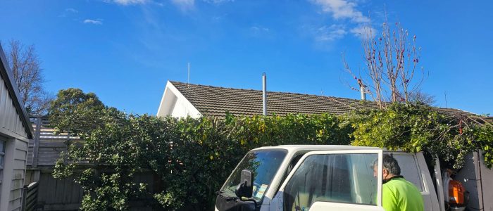 mmexport1756849500433