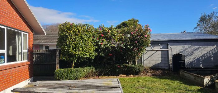 mmexport1756849505068