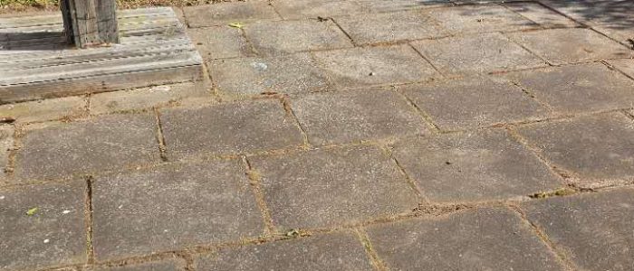 mmexport1756849512029