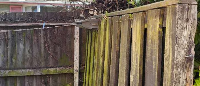 mmexport1756849535713